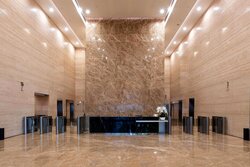 PLUS (D1), Office #501078431